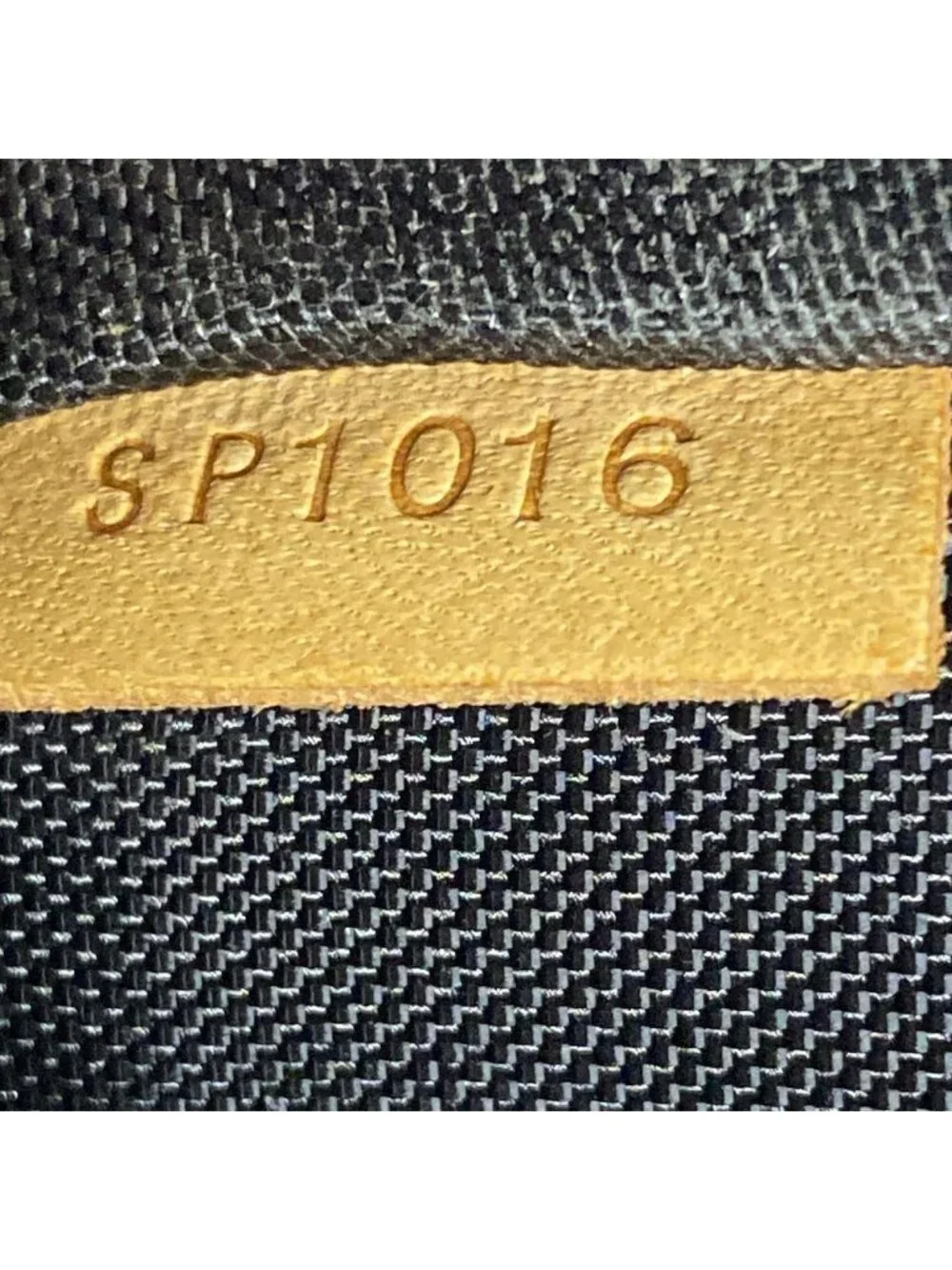 Louis Vuitton Travel Bag Monogram Pegase 45